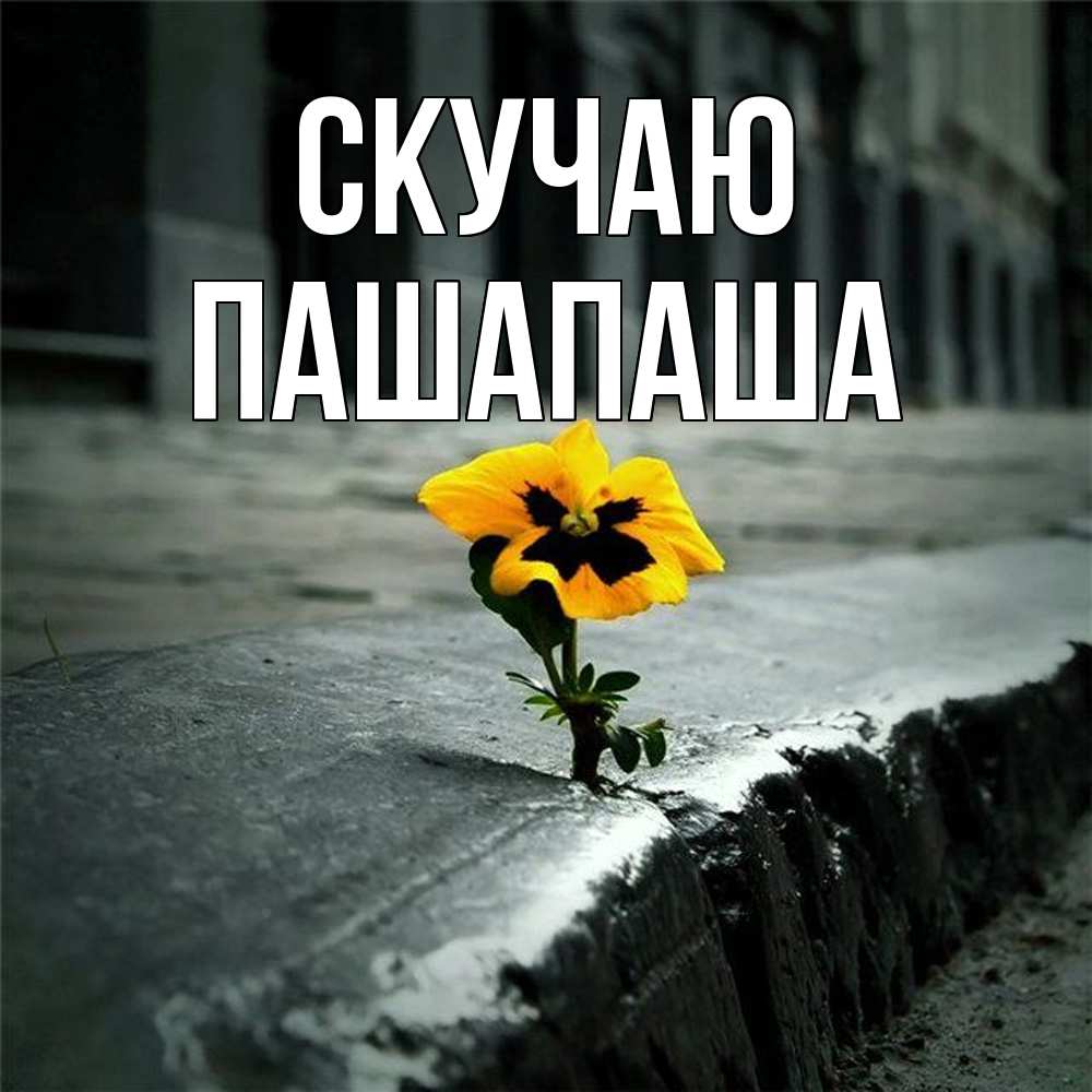 Открытка  с именем. Пашапаша, Скучаю  
