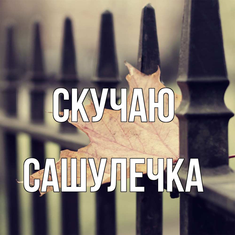 Открытка  с именем. Сашулечка, Скучаю  