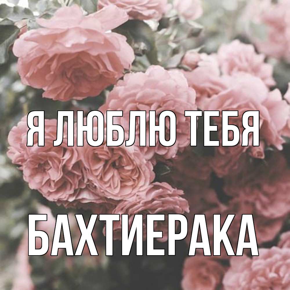 Открытка  с именем. БахтиерАка, Я люблю тебя  