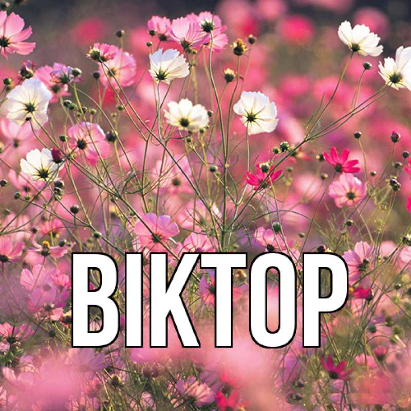 Картинка  с именем , Віктор