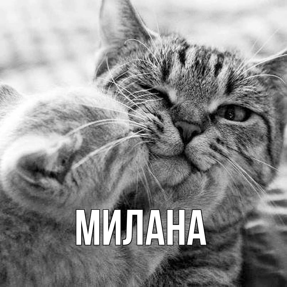 Открытка  с именем. Милана, Главная  