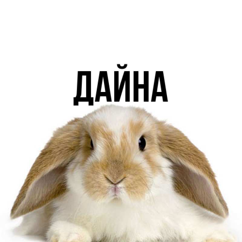 Картинка  с именем , Дайна