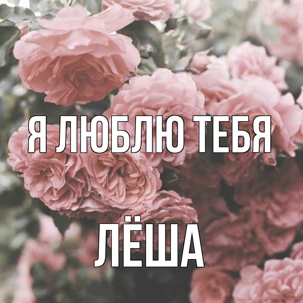 Открытка  с именем. Лёша, Я люблю тебя  