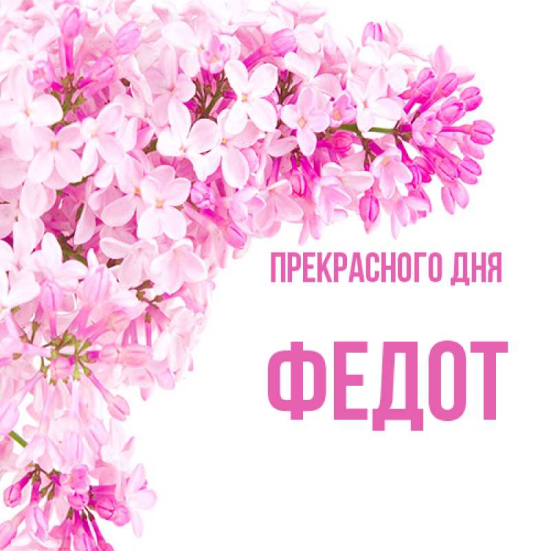 Картинка Прекрасного дня, Федот