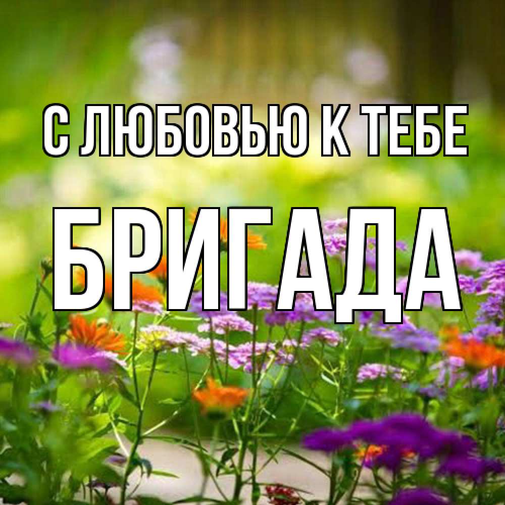 Открытка  с именем. Бригада, С любовью к тебе  