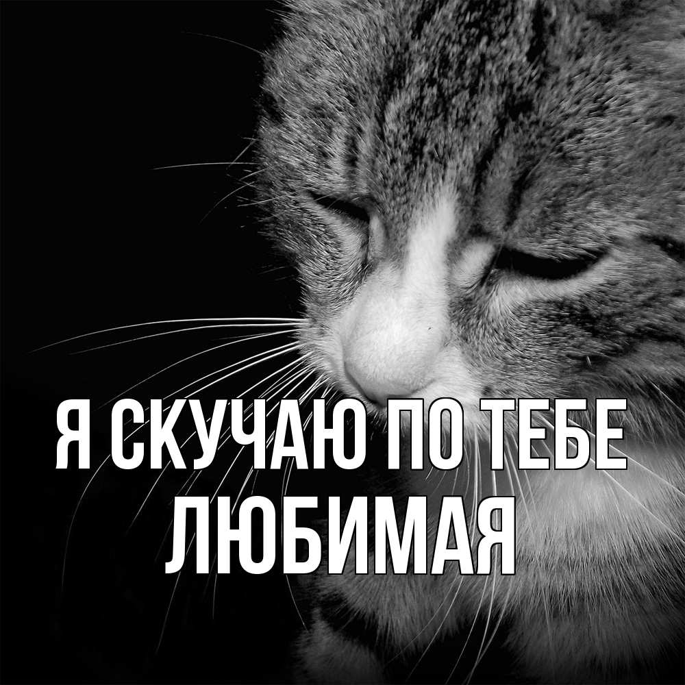 Открытка  с именем. Любимая, Я скучаю по тебе  