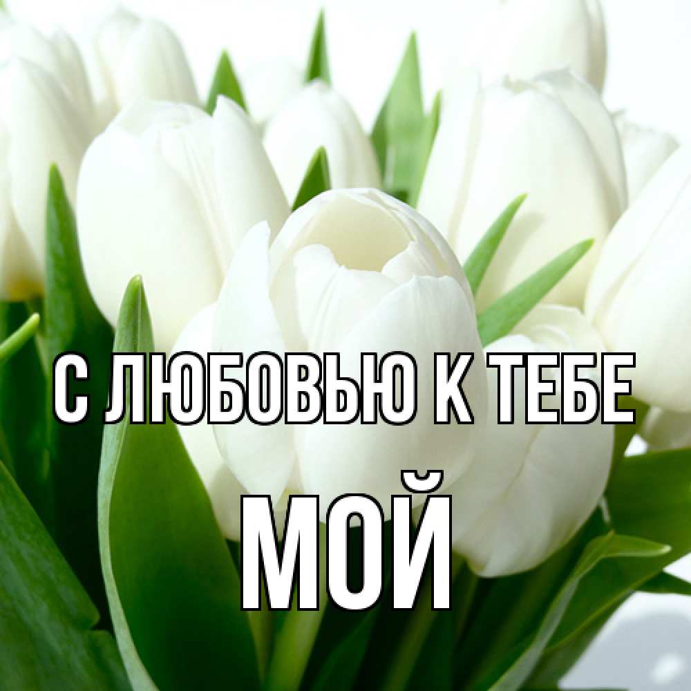 Открытка  с именем. Мой, С любовью к тебе  