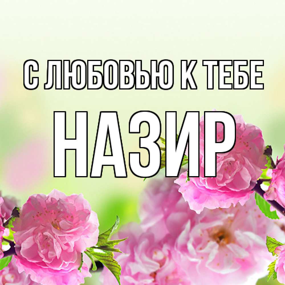 Открытка  с именем. Назир, С любовью к тебе  
