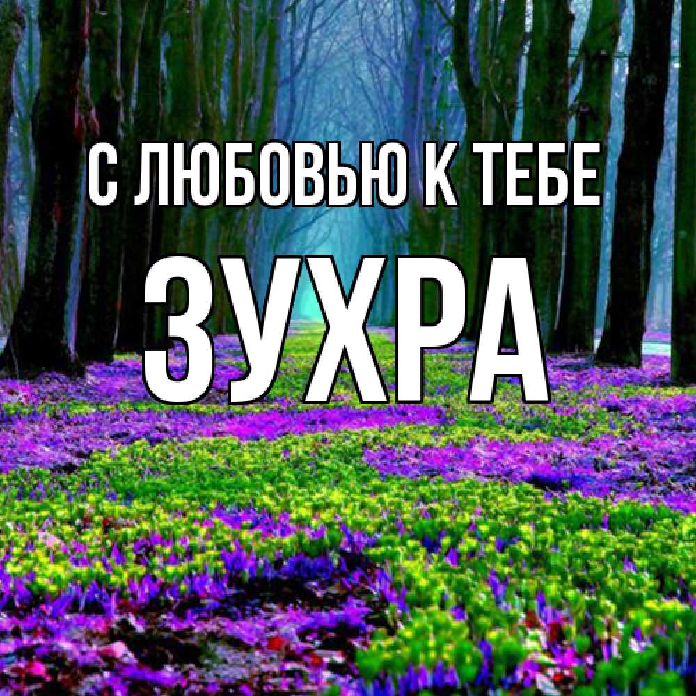 Открытка  с именем. Зухра, С любовью к тебе  