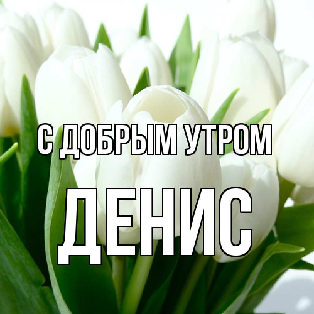 Открытка  с именем. ДЕНИС, С добрым утром  