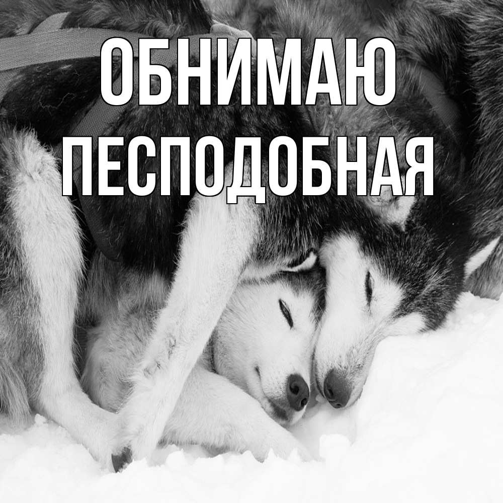 Открытка  с именем. Песподобная, Обнимаю  