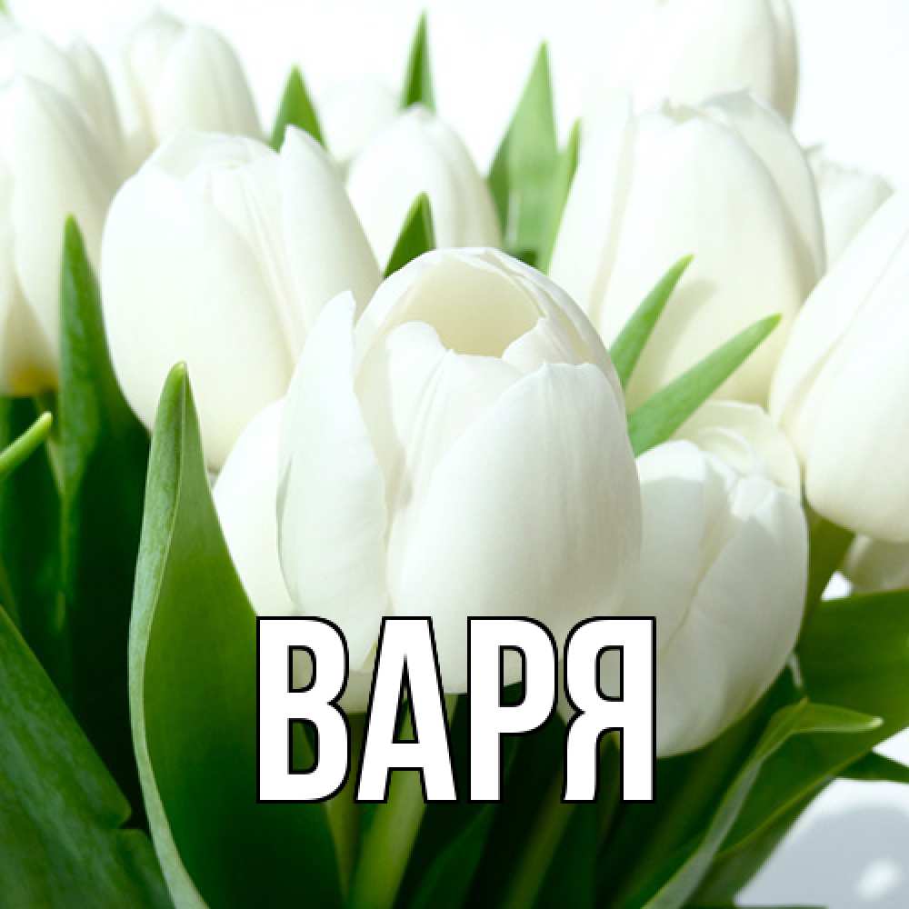 Открытка  с именем. варя, Главная  