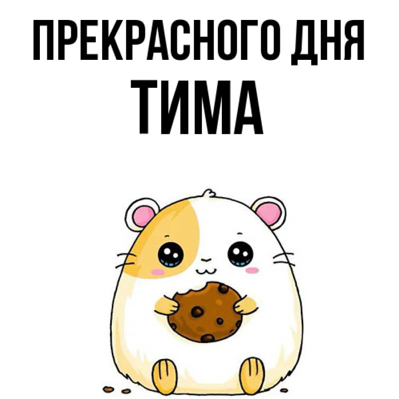 Картинка Прекрасного дня, Тима
