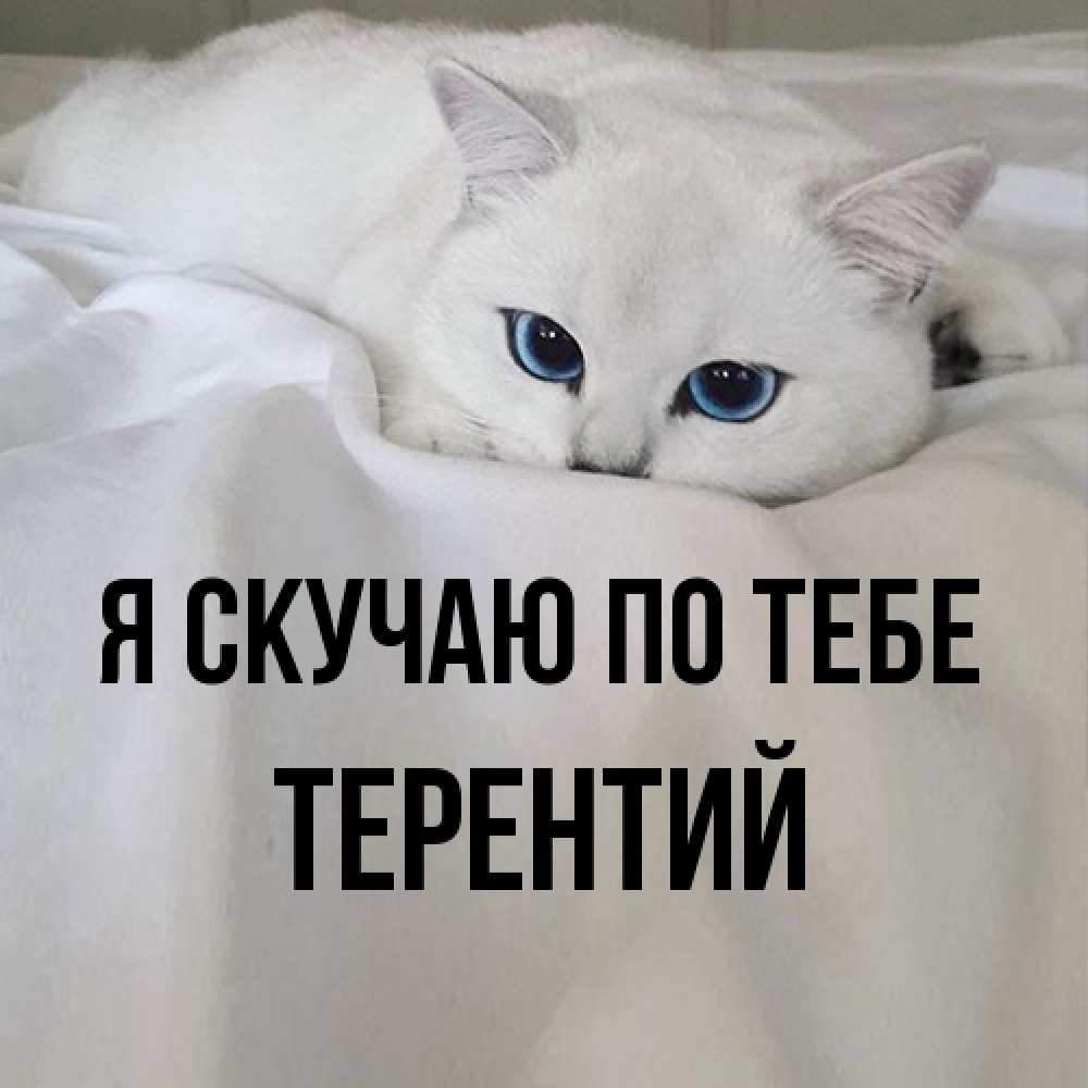Открытка  с именем. Терентий, Я скучаю по тебе  