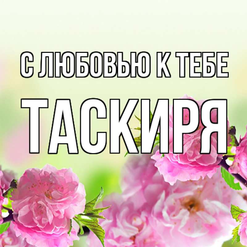 Картинка С любовью к тебе, Таскиря