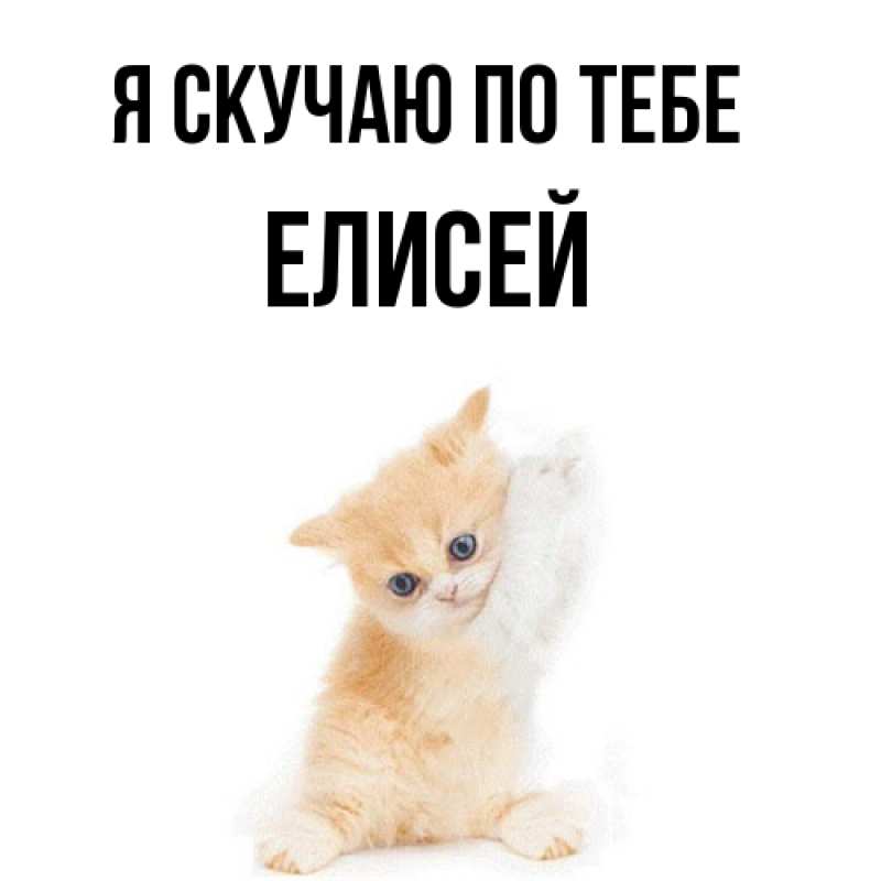 Картинка Я скучаю по тебе, Елисей