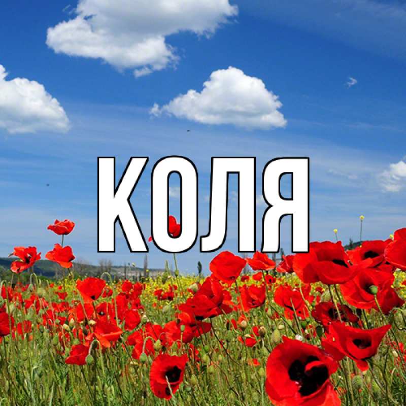 Картинка  с именем , коля