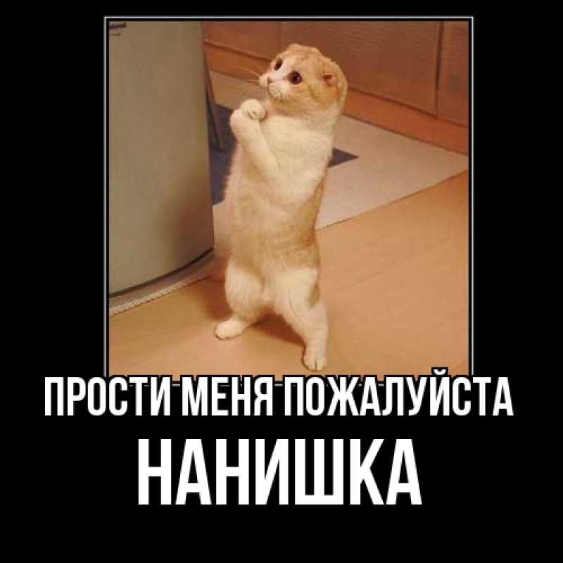 Картинка Прости меня пожалуйста, Нанишка