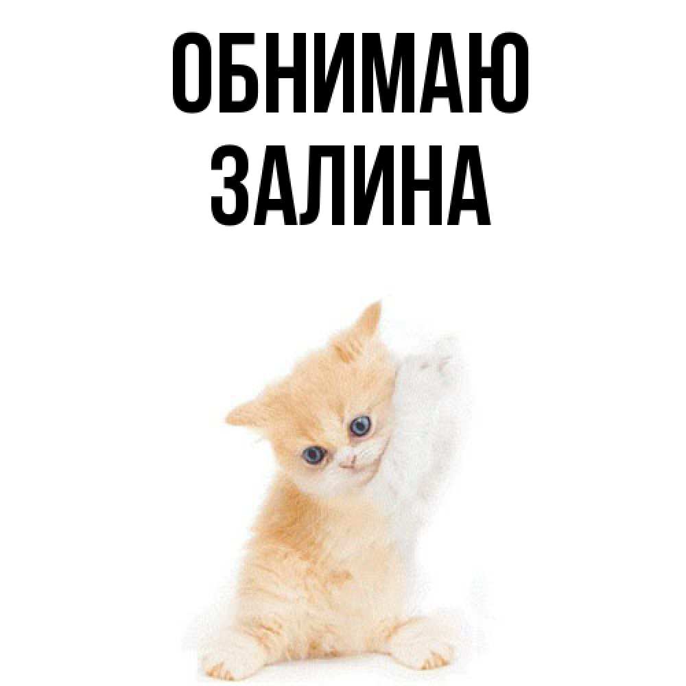 Открытка  с именем. Залина, Обнимаю  