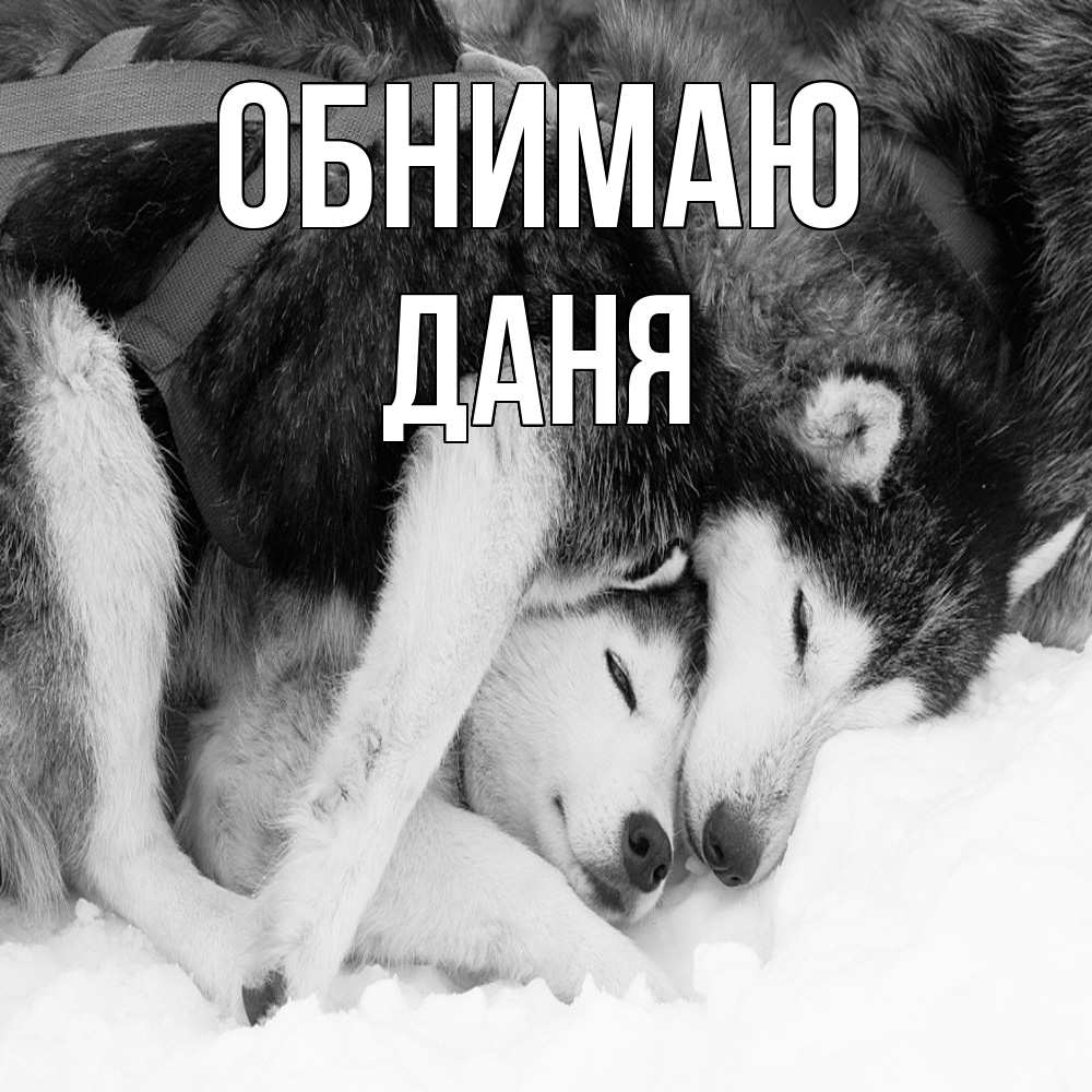 Открытка  с именем. Даня, Обнимаю  