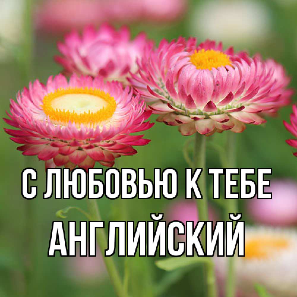 Открытка  с именем. Английский, С любовью к тебе  