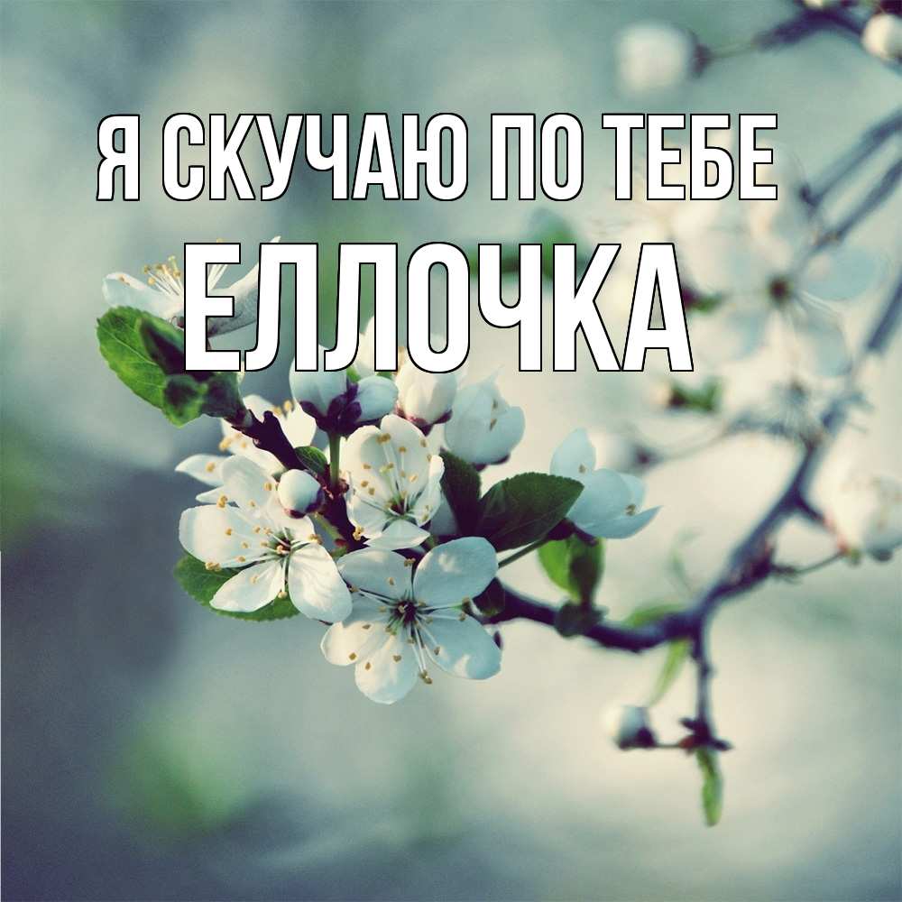 Открытка  с именем. Еллочка, Я скучаю по тебе  