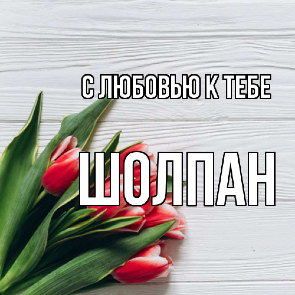 Открытка  с именем. Шолпан, С любовью к тебе  