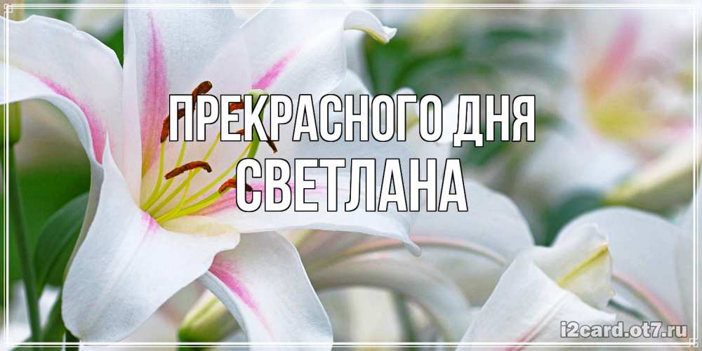 Открытка  с именем. светлана, Прекрасного дня  