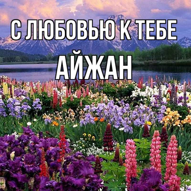 Картинка С любовью к тебе, Айжан