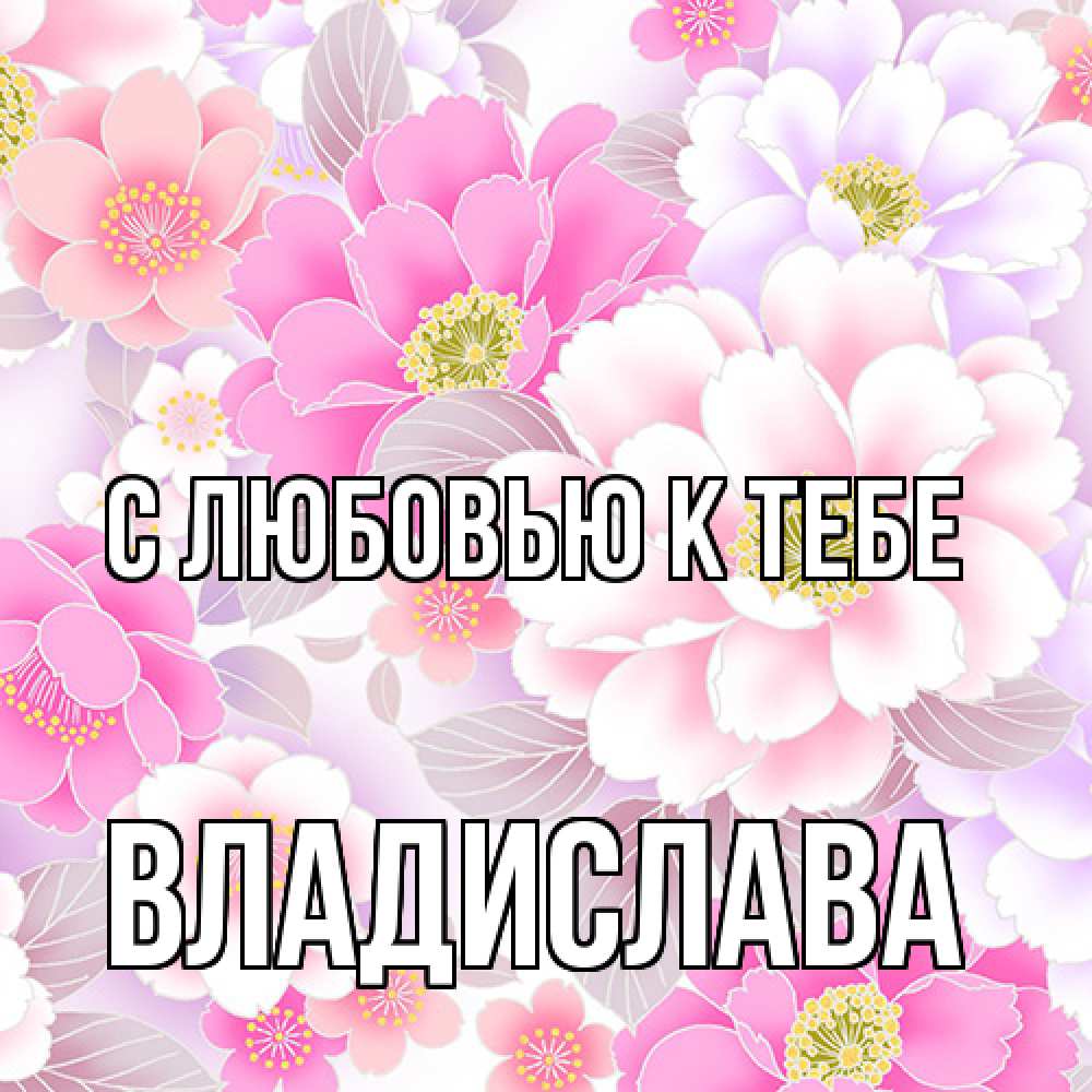 Открытка  с именем. Владислава, С любовью к тебе  