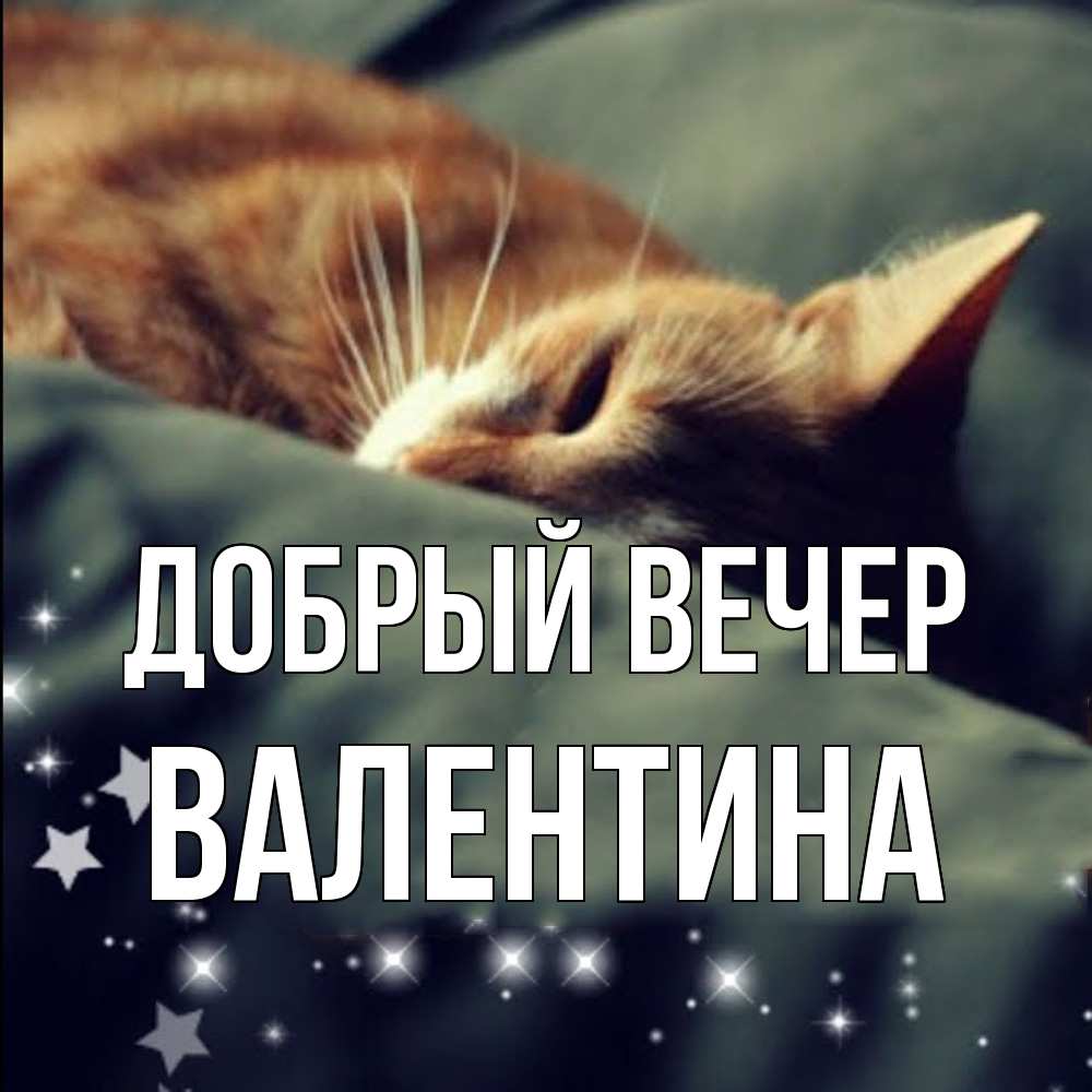 Открытка  с именем. валентина, Добрый вечер  