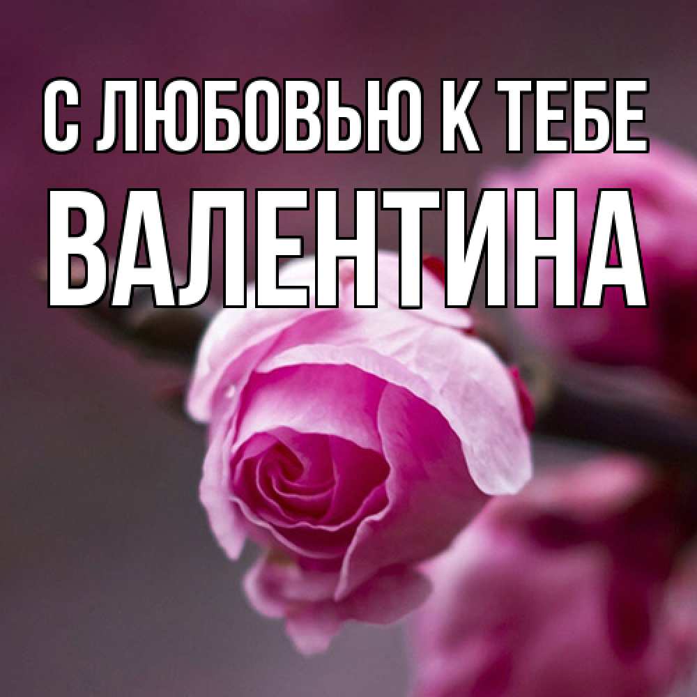 Открытка  с именем. валентина, С любовью к тебе  