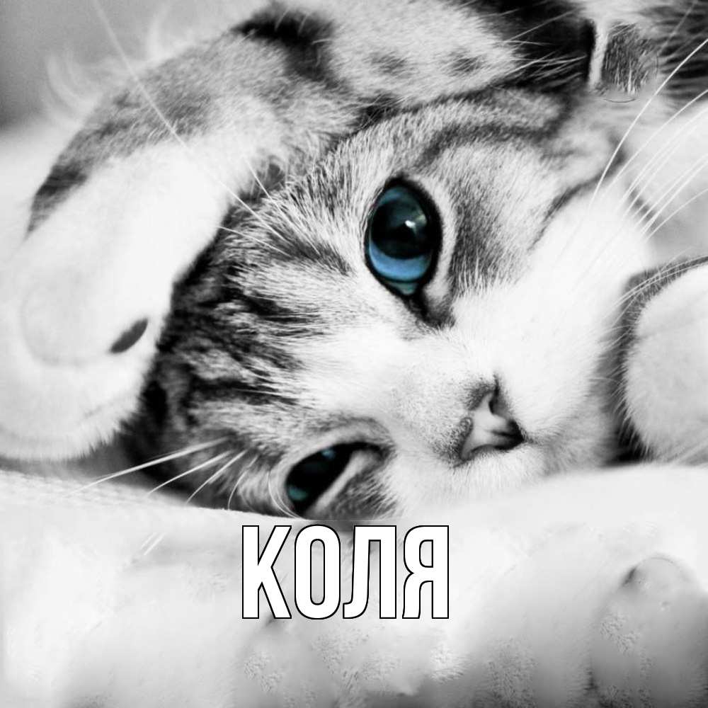 Открытка  с именем. коля, Главная  