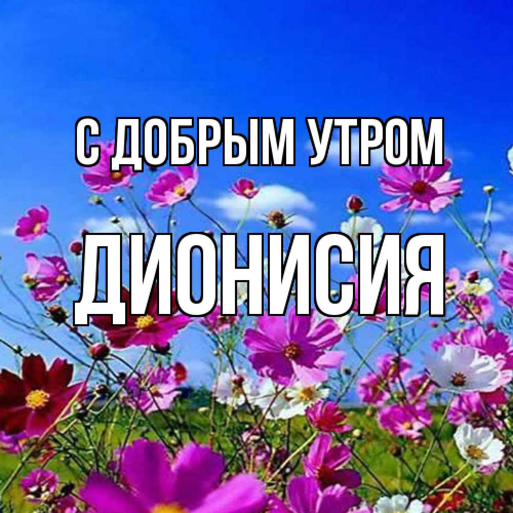 Открытка  с именем. Дионисия, С добрым утром  