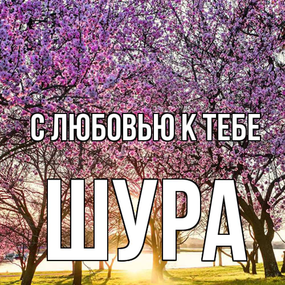 Открытка  с именем. Шура, С любовью к тебе  
