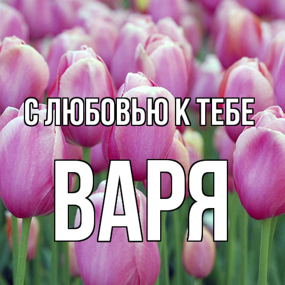 Открытка  с именем. варя, С любовью к тебе  