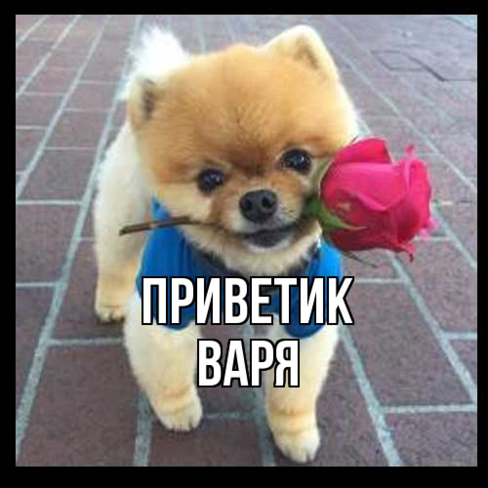 Открытка  с именем. варя, приветик  