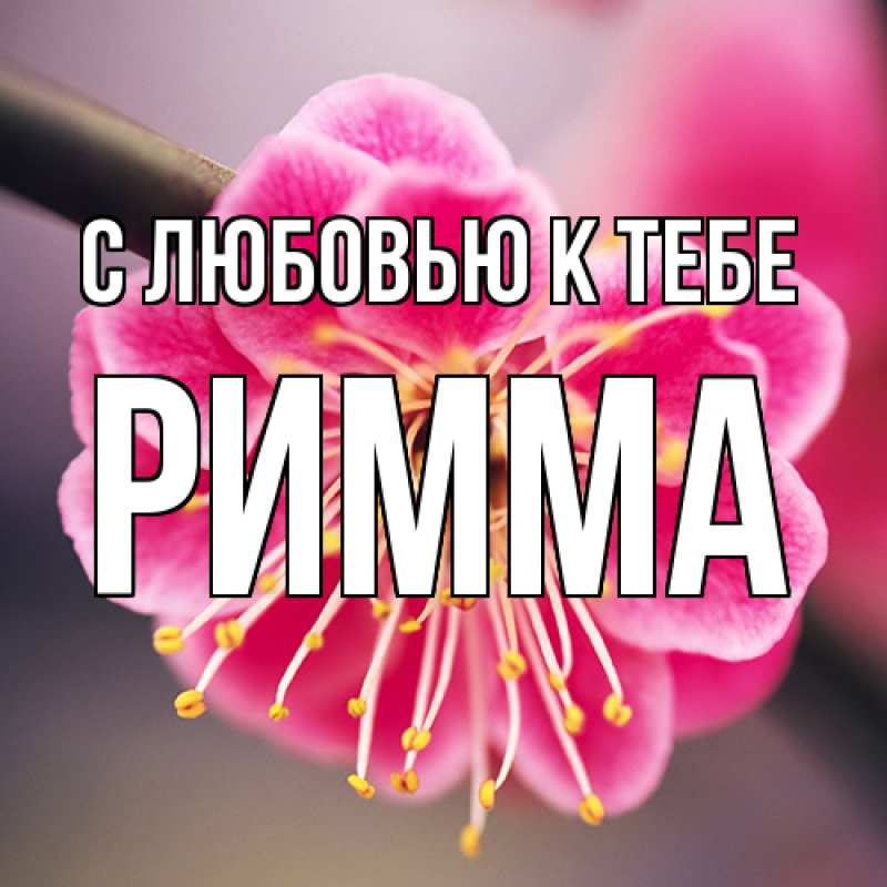 Картинка С любовью к тебе, Римма