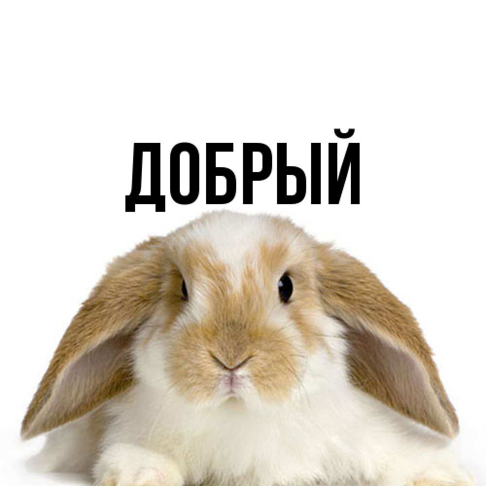 Открытка  с именем. Добрый, Главная  