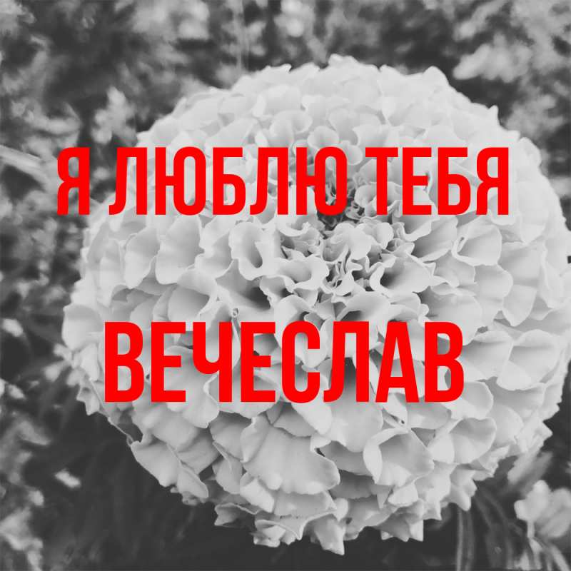 Картинка Я люблю тебя, Вечеслав