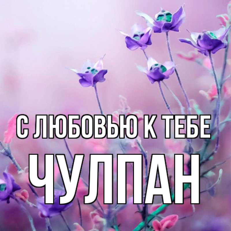 Картинка С любовью к тебе, Чулпан