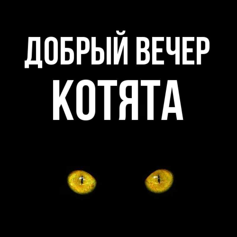 Картинка Добрый вечер, Котята
