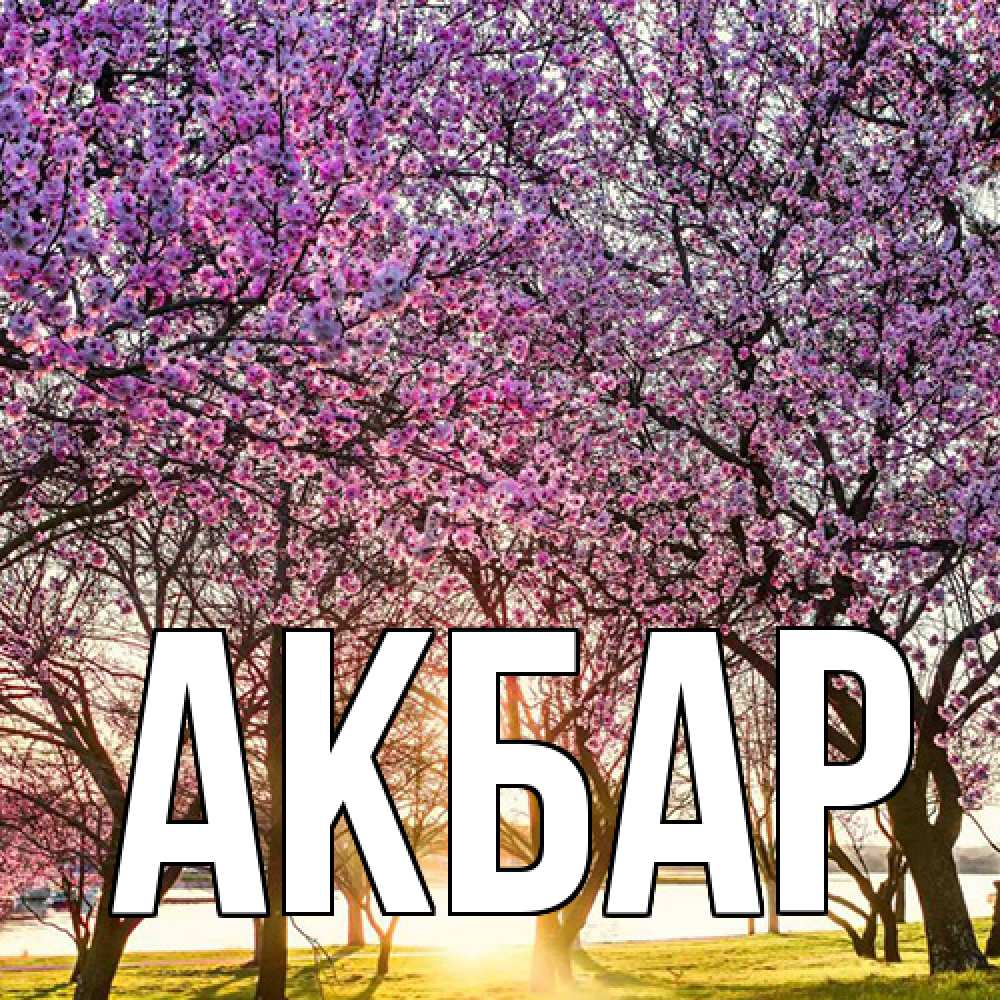 Открытка  с именем. Акбар, Главная  