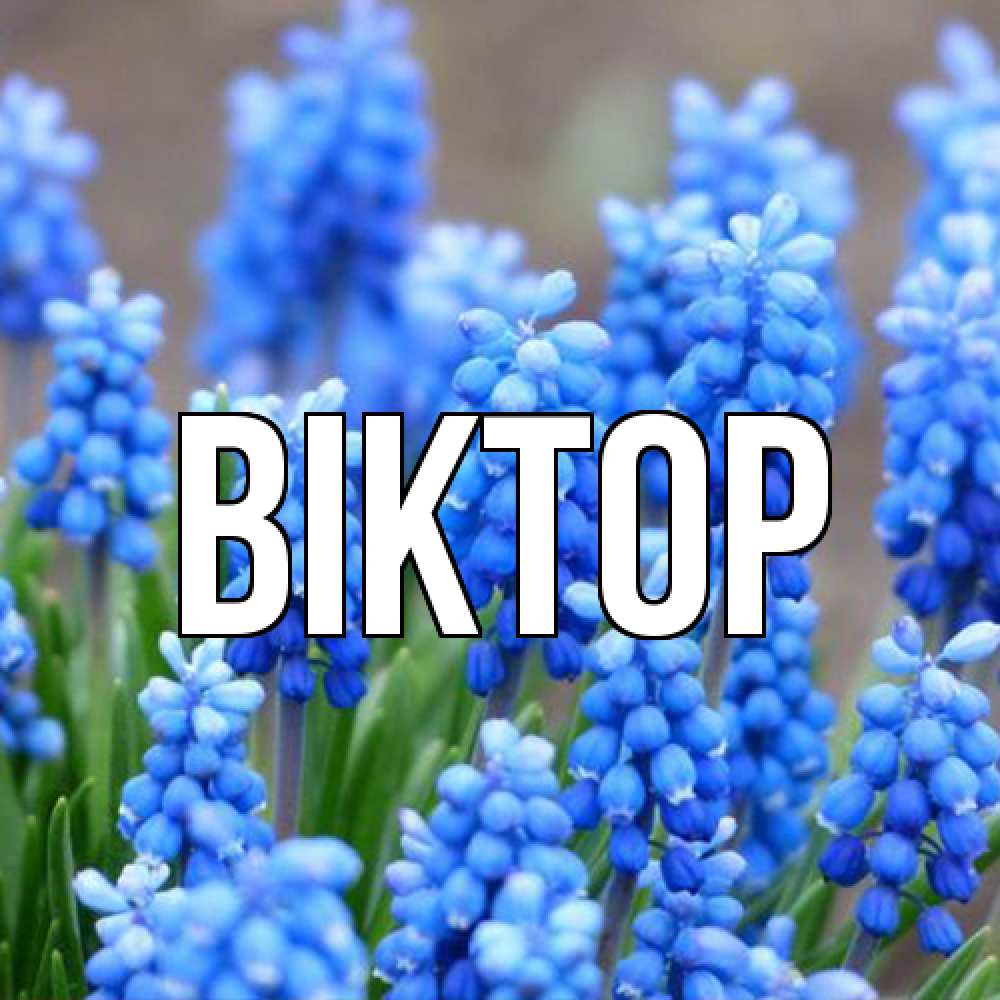 Открытка  с именем. Віктор, Главная  
