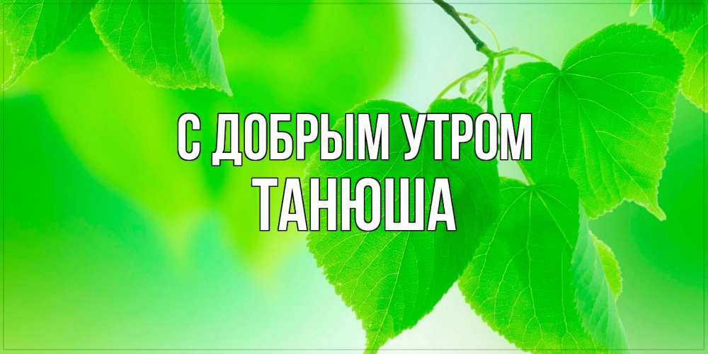 Открытка  с именем. Танюша, С добрым утром  