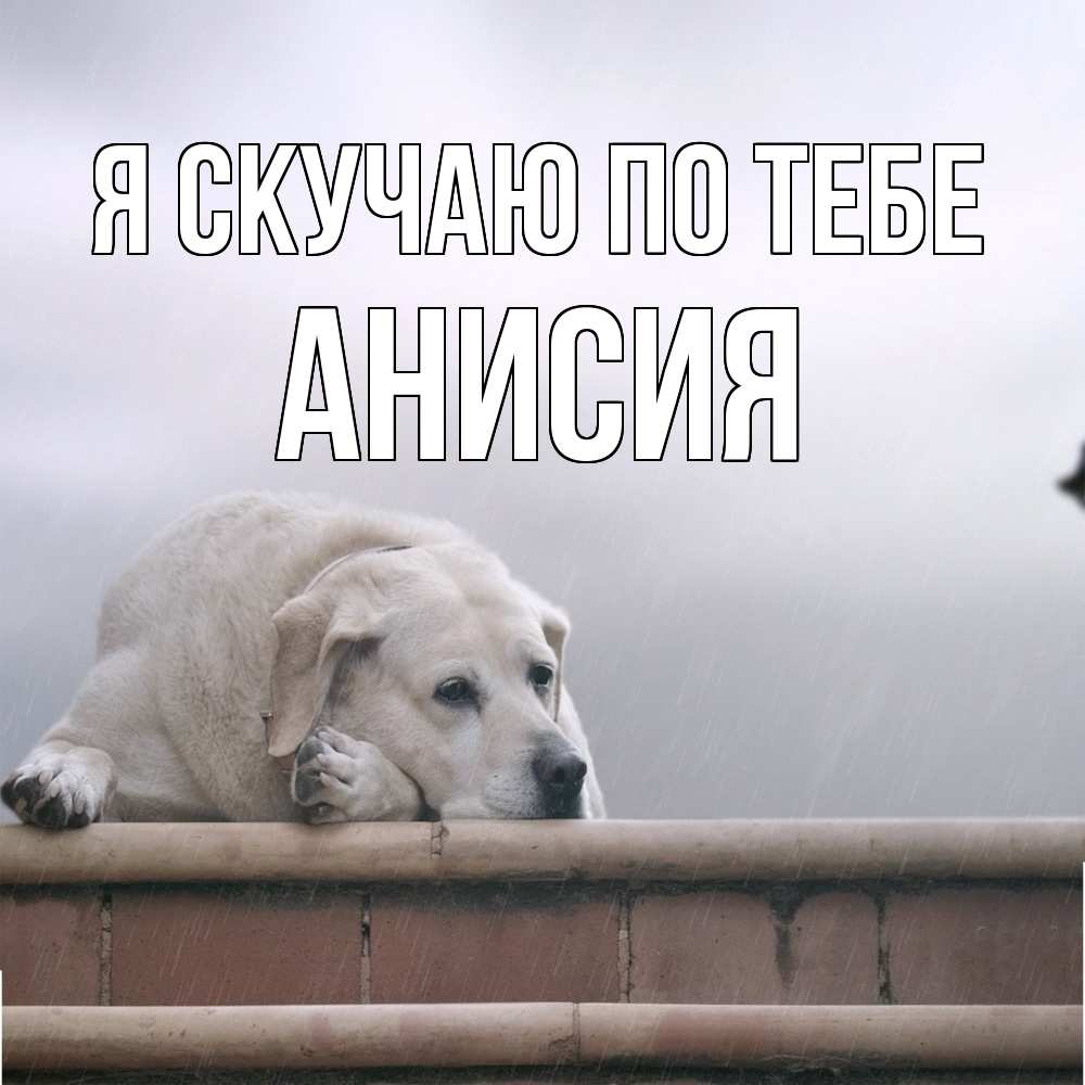 Открытка  с именем. Анисия, Я скучаю по тебе  