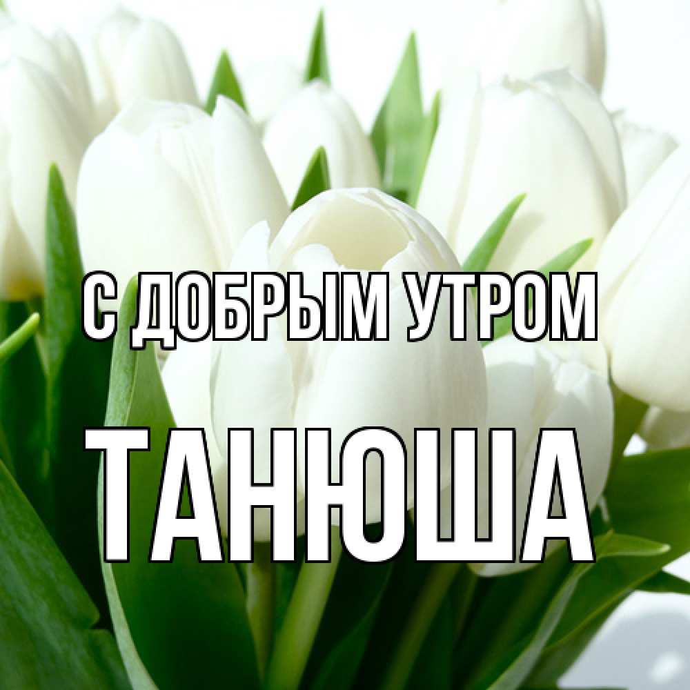 Открытка  с именем. Танюша, С добрым утром  