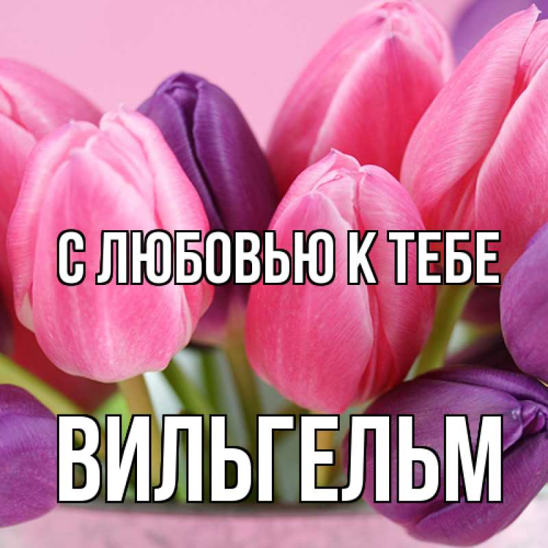 Картинка С любовью к тебе, Вильгельм