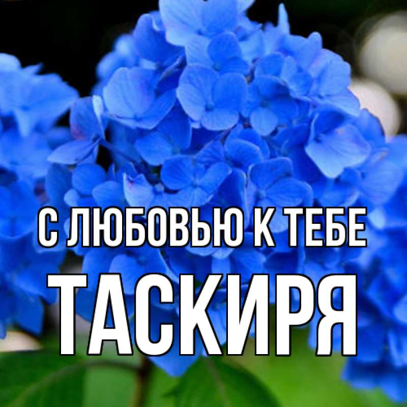 Картинка С любовью к тебе, Таскиря