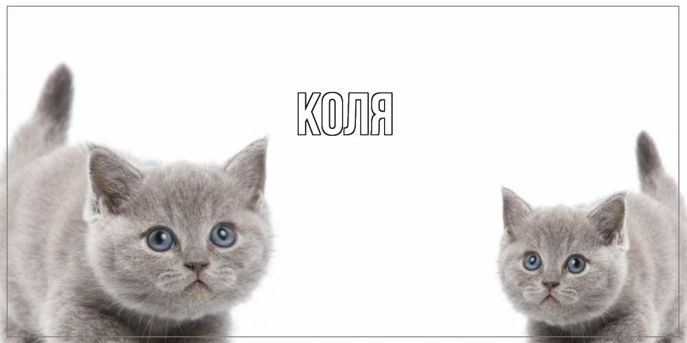 Открытка  с именем. коля, Главная  